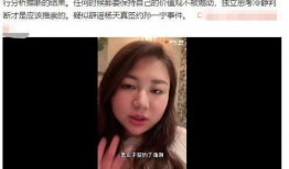 网红黑料是什么意思,网络舆论背后的真相与反思